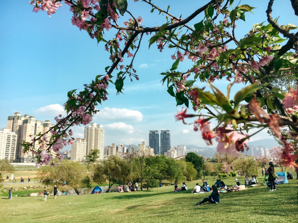 An Expat Guide to Living in Taipei, Taiwan